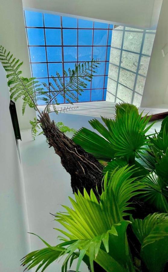 Lala Citadel Homestay هوي المظهر الخارجي الصورة