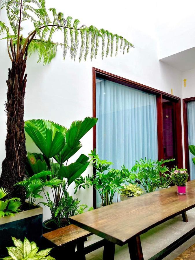 Lala Citadel Homestay هوي المظهر الخارجي الصورة